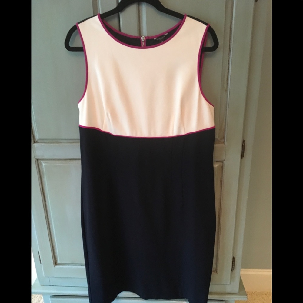 Ann Taylor Cream and Navy dress trim